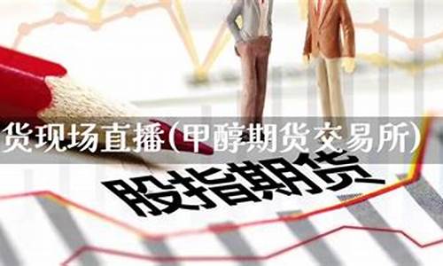 2024甲醇期货直播间在线直播(道富期货直播间在线直播)