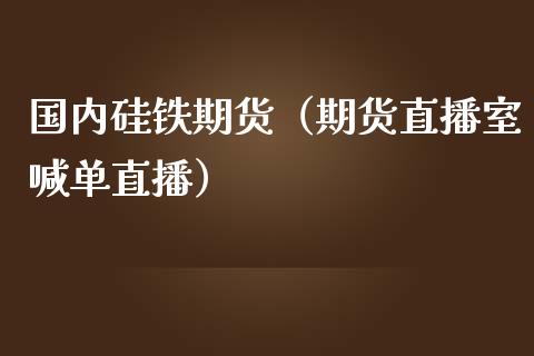 国内硅铁期货（期货直播室喊单直播）