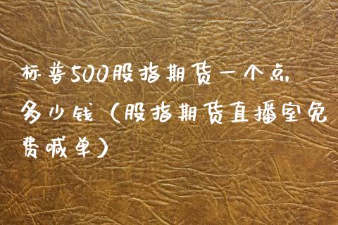 标普500股指期货一个点多少钱（股指期货直播室免费喊单）