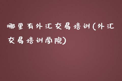 哪里有外汇交易培训(外汇交易培训学院)