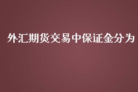 外汇期货交易中保证金分为