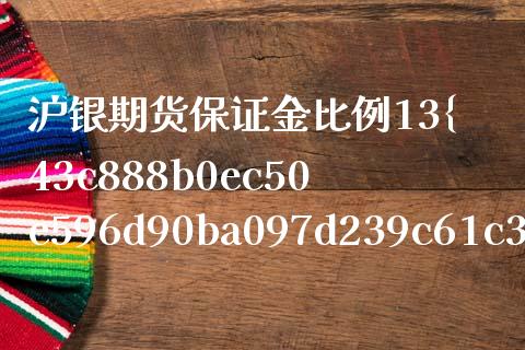 沪银期货保证金比例13%