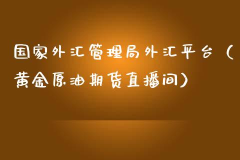 国家外汇管理局外汇平台（黄金原油期货直播间）