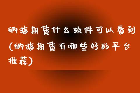 纳指期货什么软件可以看到(纳指期货有哪些好的平台推荐)