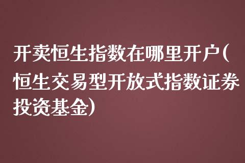 开卖恒生指数在哪里开户(恒生交易型开放式指数证券投资基金)