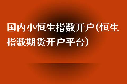 国内小恒生指数开户(恒生指数期货开户平台)