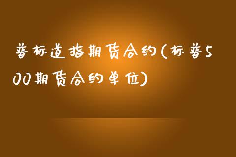 普标道指期货合约(标普500期货合约单位)