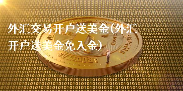 外汇交易开户送美金(外汇开户送美金免入金)