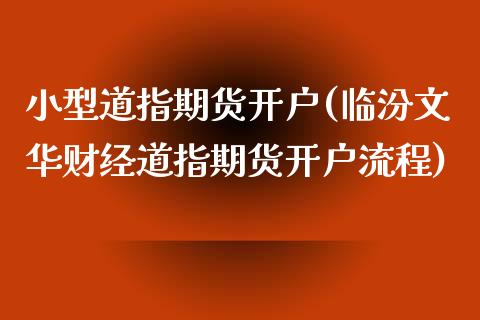 小型道指期货开户(临汾文华财经道指期货开户流程)