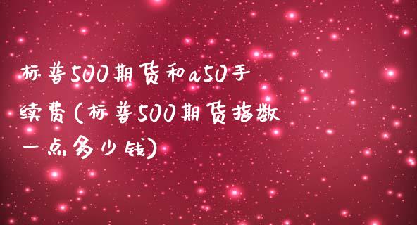 标普500期货和a50手续费(标普500期货指数一点多少钱)