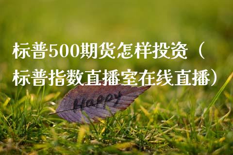 标普500期货怎样投资（标普指数直播室在线直播）