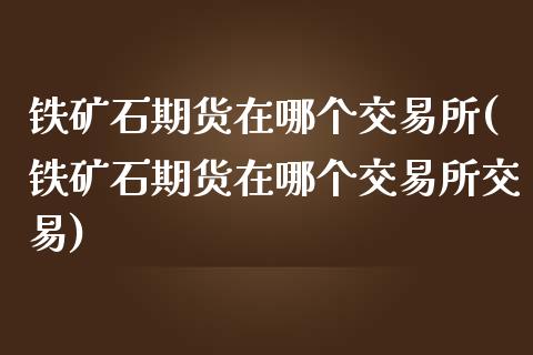 铁矿石期货在哪个交易所(铁矿石期货在哪个交易所交易)