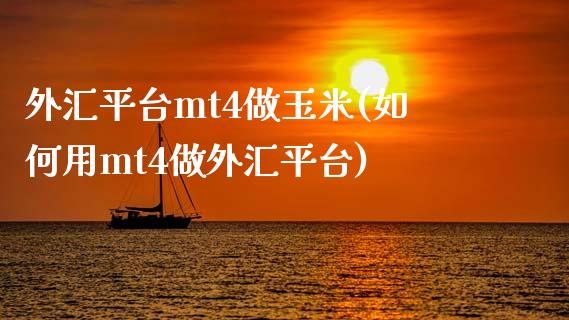 外汇平台mt4做玉米(如何用mt4做外汇平台)