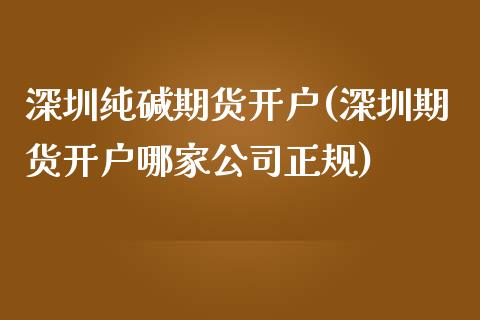 深圳纯碱期货开户(深圳期货开户哪家公司正规)