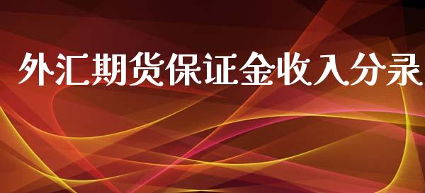 外汇期货保证金收入分录