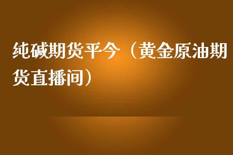 纯碱期货平今（黄金原油期货直播间）