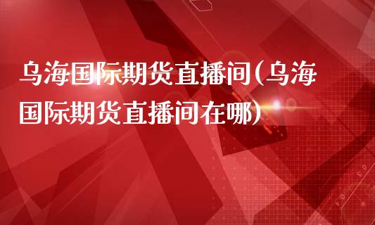 乌海国际期货直播间(乌海国际期货直播间在哪)