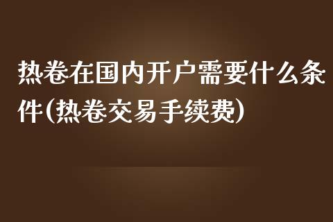 热卷在国内开户需要什么条件(热卷交易手续费)