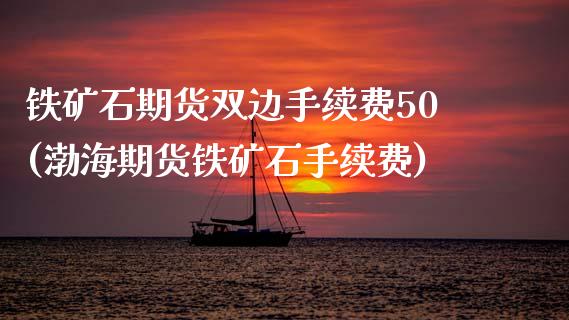 铁矿石期货双边手续费50(渤海期货铁矿石手续费)