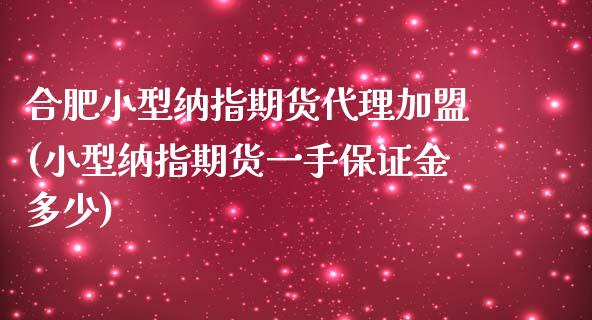 合肥小型纳指期货代理加盟(小型纳指期货一手保证金多少)