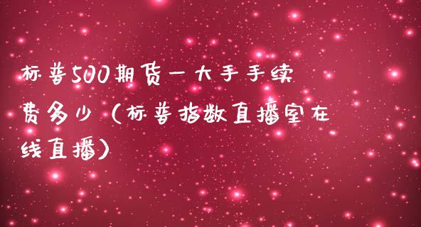 标普500期货一大手手续费多少（标普指数直播室在线直播）