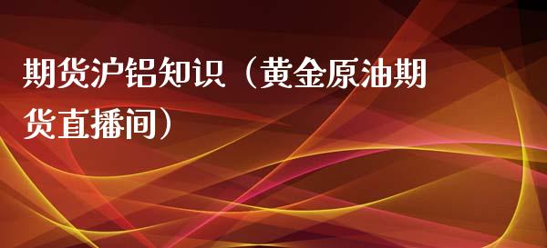 期货沪铝知识（黄金原油期货直播间）