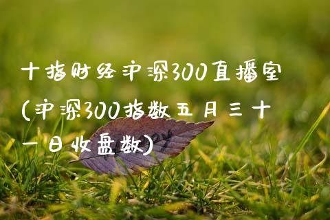 十指财经沪深300直播室(沪深300指数五月三十一日收盘数)