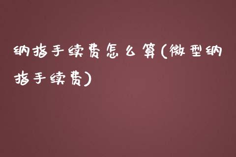 纳指手续费怎么算(微型纳指手续费)