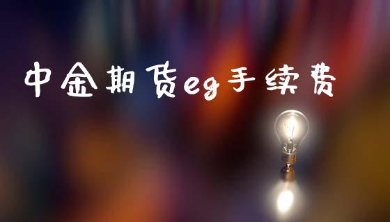 中金期货eg手续费