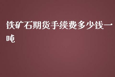 铁矿石期货手续费多少钱一吨