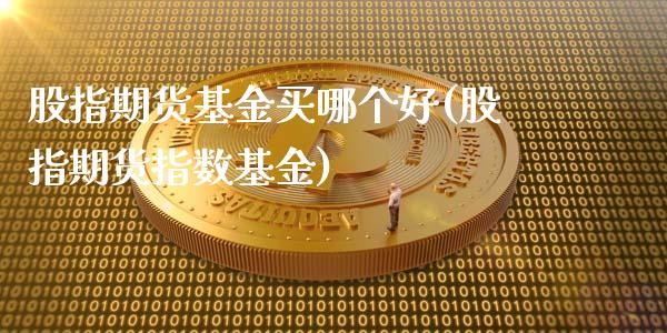 股指期货基金买哪个好(股指期货指数基金)