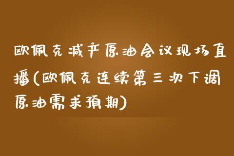 欧佩克减产原油会议现场直播(欧佩克连续第三次下调原油需求预期)