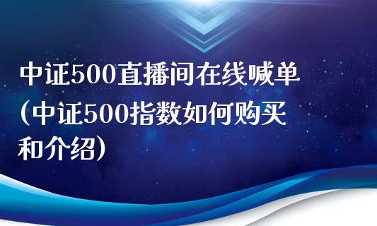 中证500直播间在线喊单(中证500指数如何购买和介绍)