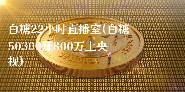 白糖22小时直播室(白糖50300赚800万上央视)