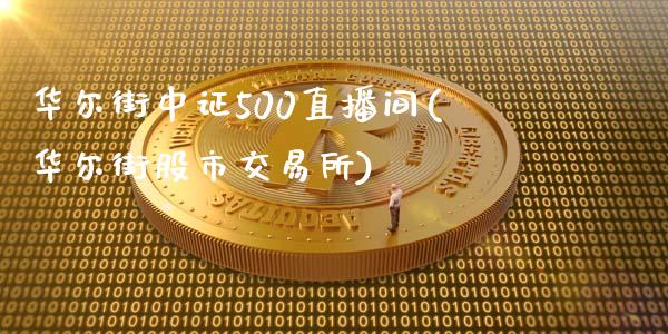 华尔街中证500直播间(华尔街股市交易所)