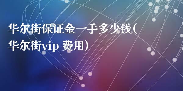 华尔街保证金一手多少钱(华尔街vip 费用)