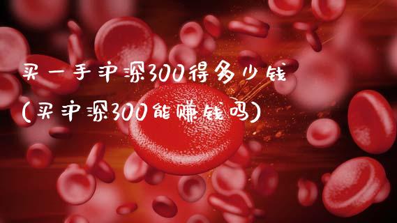 买一手沪深300得多少钱(买沪深300能赚钱吗)