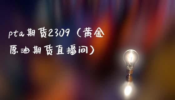 pta期货2309（黄金原油期货直播间）