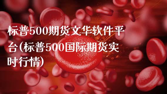 标普500期货文华软件平台(标普500国际期货实时行情)