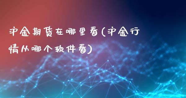 沪金期货在哪里看(沪金行情从哪个软件看)