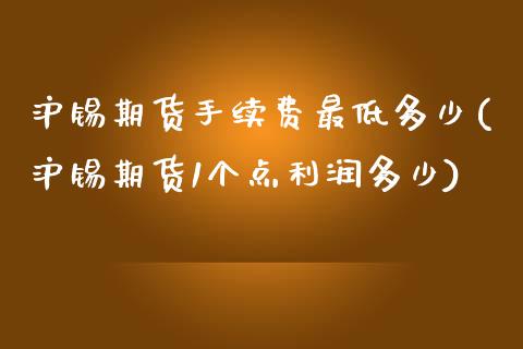 沪锡期货手续费最低多少(沪锡期货1个点利润多少)