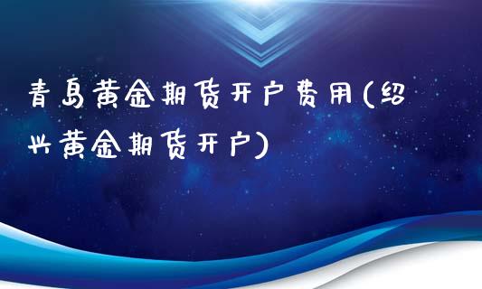 青岛黄金期货开户费用(绍兴黄金期货开户)