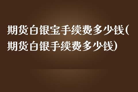 期货白银宝手续费多少钱(期货白银手续费多少钱)