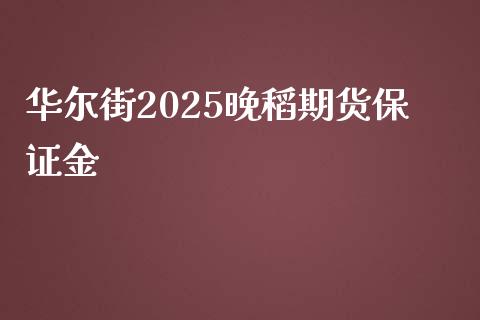 华尔街2025晚稻期货保证金