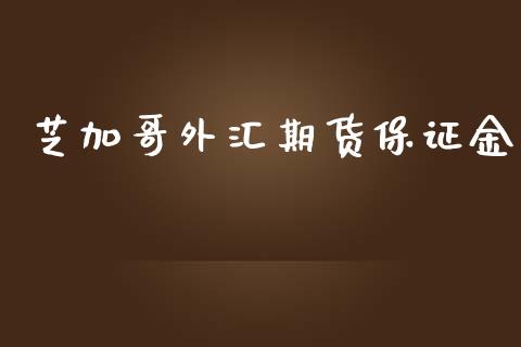 芝加哥外汇期货保证金