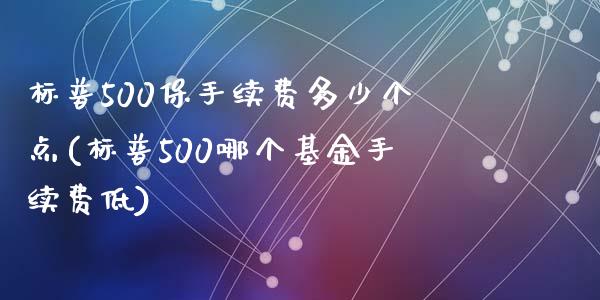 标普500保手续费多少个点(标普500哪个基金手续费低)