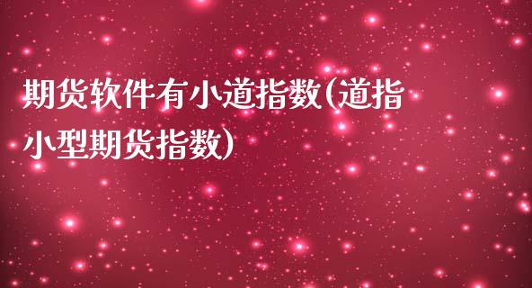 期货软件有小道指数(道指小型期货指数)