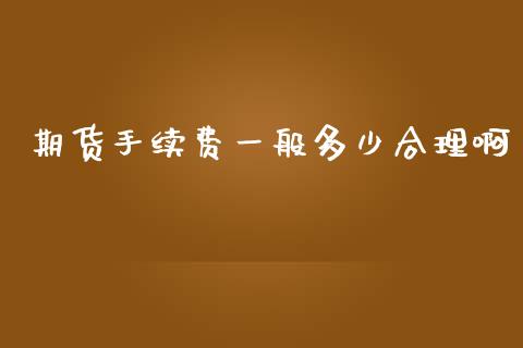 期货手续费一般多少合理啊