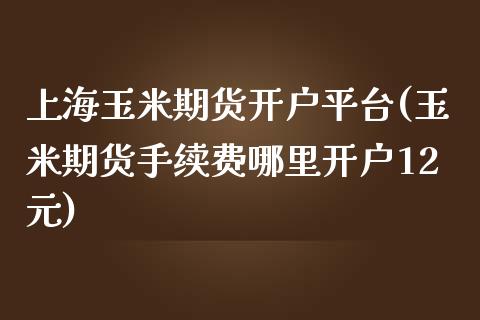 上海玉米期货开户平台(玉米期货手续费哪里开户12元)