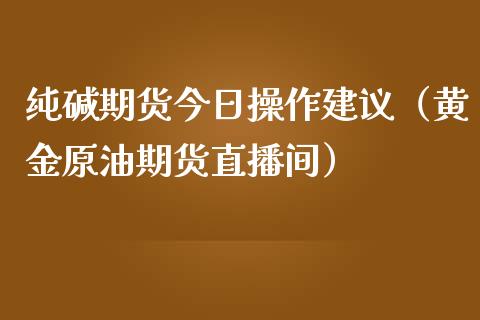 纯碱期货今日操作建议（黄金原油期货直播间）